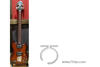 Enlarged view of image